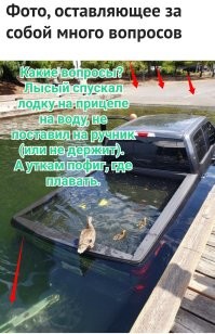 Удивительные вещи, которые не каждый день увидишь