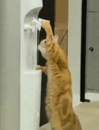 Лишь бы только на горячий не нажал!