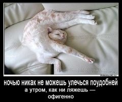 Йожика картинки. Выпуск 199