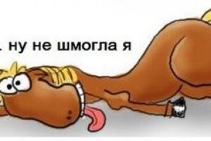 Смешные и немного с пошлинкой комментарии из социальных сетей