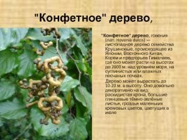 Йожика картинки. Выпуск 199