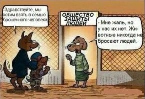 Брошенных людей нет, а общество где их можно взять есть .... Бабки пилят собаки