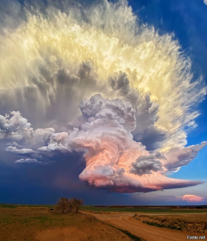 Не люблю, когда перебарщивают с фотошопом. Но на этих фото он просто необходим. Ну что мешало убрать эти уродливые столбы, которые только портят фотографии?