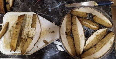 У нас в Мурманске подосиновики таких размеров встречаются. При том, вполне крепкие. Я такие собираю для сушилки. Шляпку порезал и уже вся сушилка заполнена.
Особенно в сентябре, когда уже прохладно, мошка не летает и червивый гриб найти редкость.