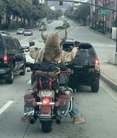 Не на родео едет, а из командировки...