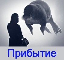 Фотоподборка