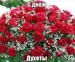 Наталья, с праздником вас!
