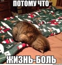 В Индии аттракцион с людьми рухнул с большой высоты