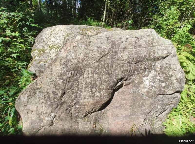 Камень Щеглец с петроглифами предположительно двухтысячной давности. Новгородская область. Три километра от деревни Мытно. Говорят, в Европе второй такой (похожий по древности) еще только где-то в Германии есть.