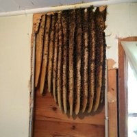 Вот не надо про капитальный ремонт. За такой фанерой этот рой было слышно и днём и ночью. Может из-за этого роя и начался капитальный ремонт? ))