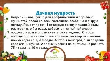 1001 рецепт применения соды.