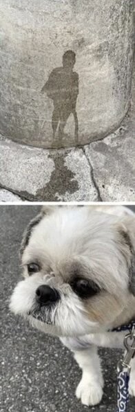 А по-моему, это он протек