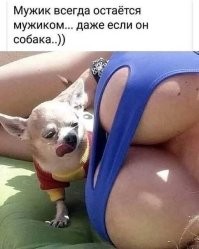 Маленькие мужские радости