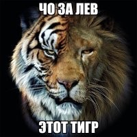 Йожика картинки. Выпуск 201
