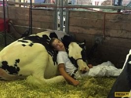 Спать лучше всего с тёлкой. С красивой и нежной...