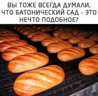 Конечо нет. Написано же "САД" а не "пекарня". То есть место где РАСТУТ батоны...