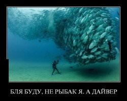 На позитиве