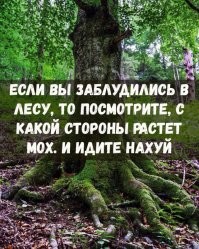 Йожика картинки. Выпуск 202
