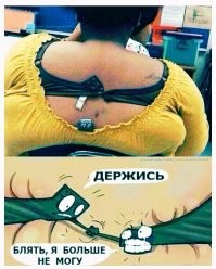 Йожика картинки. Выпуск 202