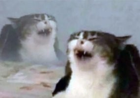 Ну или просто пи*дабол......