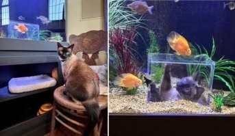 15 умников, которые заслуживают награду за свою смекалку