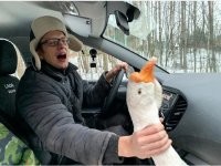Парням тяжелее