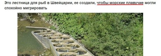 Швейцария!!! Плавучих пропустим, НО МОРСКИЕ!!! Морские швейцарские плавучии. Убейте афтара.