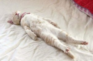 А я обычно так