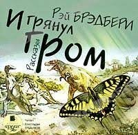 От ношенной одежды до почвы: с чем запрещено ехать в некоторые страны?