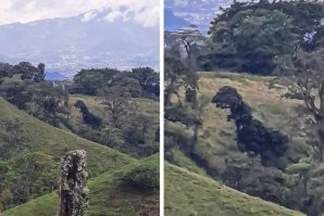 Динозавр классный. )) П.С. И единичка на последней фотке. )