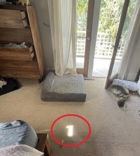 Ну, честно говоря, тут сложно не найти.