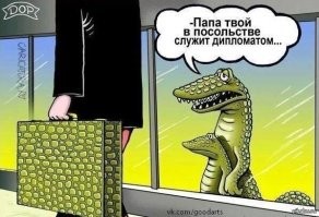 Смешные и познавательные картинки