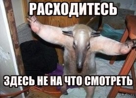 Йожика картинки. Выпуск 203