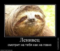 Йожика картинки. Выпуск 203