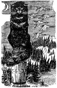 Этот на  британца похож. Даешь сибирского!!! И чтоб как Баюн!