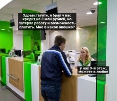 Йожика картинки. Выпуск 203