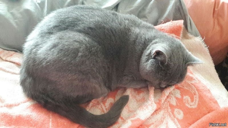 Мы с друзьями и сами любим иногда вот так пожабить. Иногда в групповом чате кидаем фотку и кто то обрабатывает. Вот мои работы :) До и после.