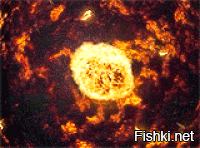 Телескоп «Иноуэ» запечатлел хромосферу Солнца в рекордном качестве