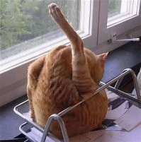 как же много в мире людей, которым делать нечего!