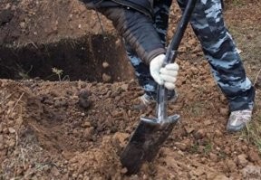 Не ищите здесь смысл. Здесь в основном маразм
