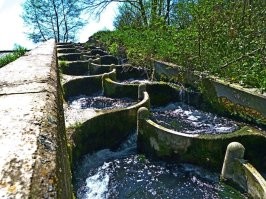 Я смотрю ты будущий Ландау или Эйнштейн. 

Сверху - лестница для рыбы. Устройство , позволяющее рыбе пройти препятствие созданное человеком на потоке, например, дамбой или порогом. На картинке видно что каждая лесенка немного выше другой и представляет собой КАСКАД. 

Снизу - клапан Теслы в разрезе. Абсолютно ПЛОСКАЯ и ЗАМКНУТАЯ конструкция. 

Но больше всего поражает 49 плюсующих х.у.е.физиков которые даже не проверили инфу ...