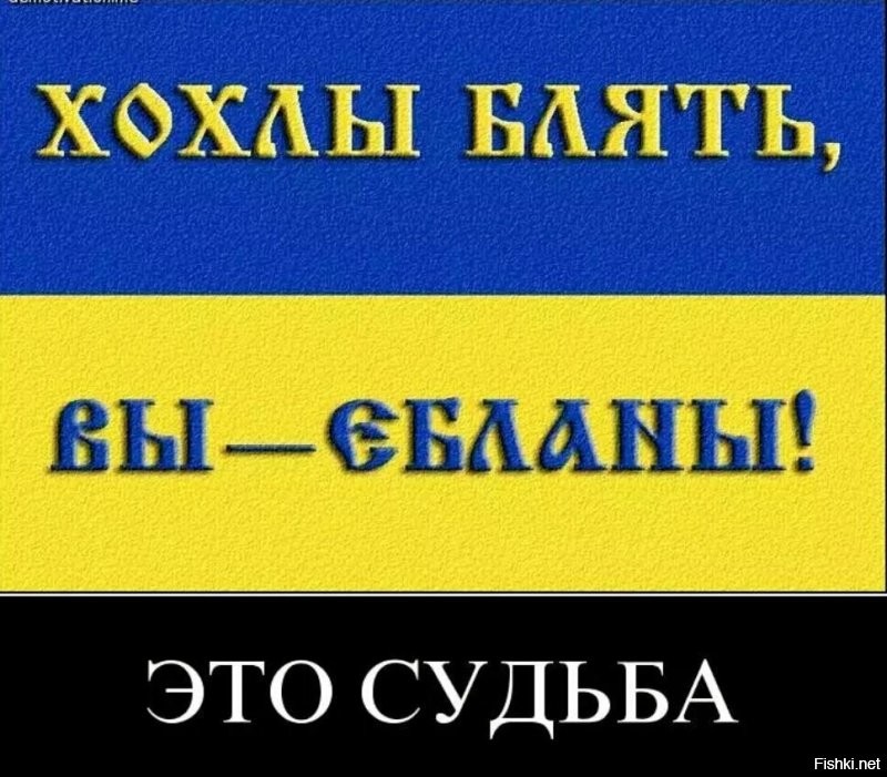 Украинский пенсионер "одним выстрелом из берданки сбил" русский Су-34