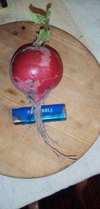 А что скрывать и это тоже