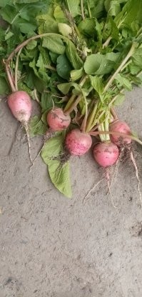 А что скрывать и это тоже