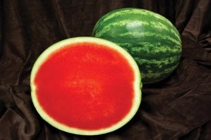 Официант убирает кости⁠⁠ из рыбы