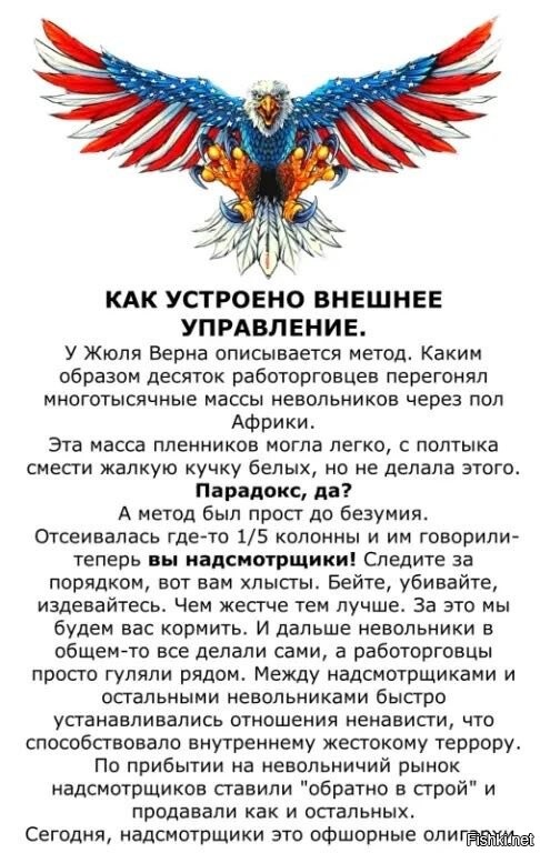 Солянка от 09.09.2022
