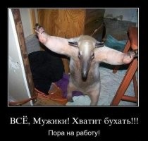 Йожика картинки. Выпуск 203