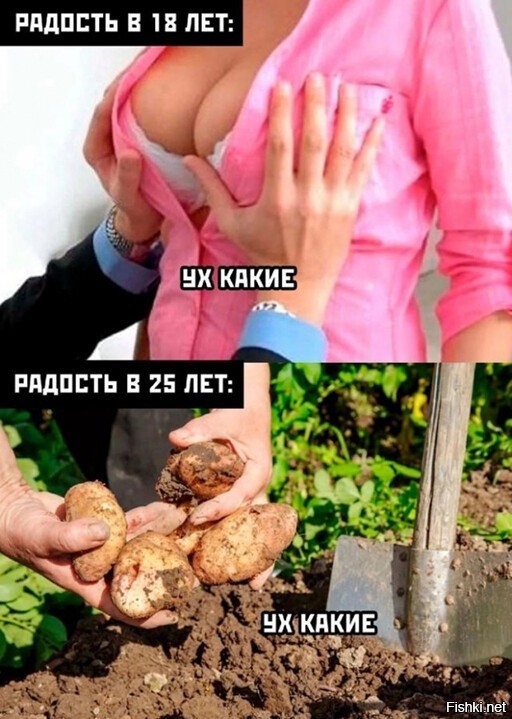 озарение в за 35