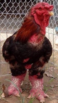 А таких фото у девушек нет?