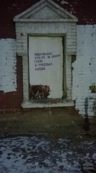 Случаи, когда стены разговаривали с жителями с помощью странных и забавных надписей